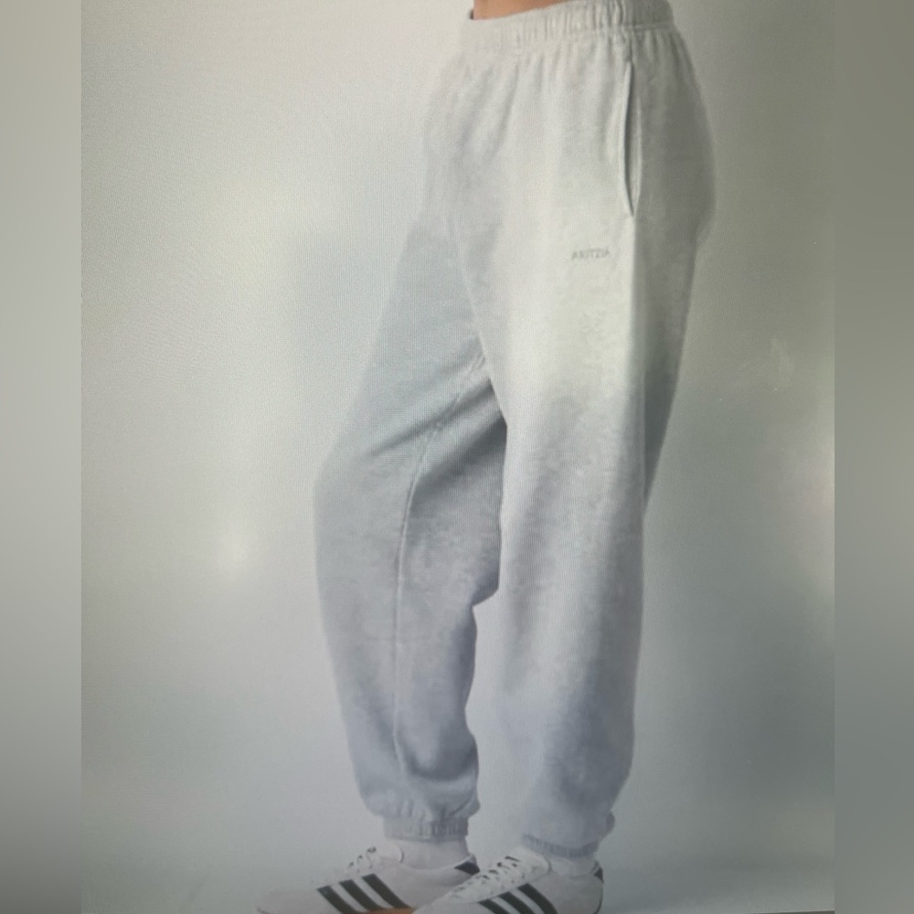Aritzia Cozy Sweatfleece Mega Fit Sweatpant Jogger,  Size Large, EUC
